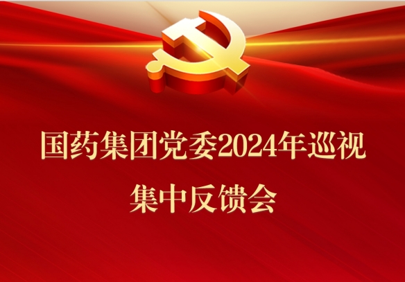 星空体育(中国)官方网站-STAR SPORTS党委召开2024年巡视集中反馈会议