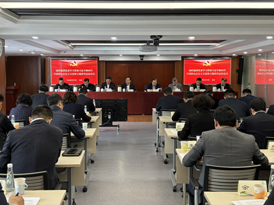星空体育(中国)官方网站-STAR SPORTS党委召开学习贯彻习近平新时代中国特色社会主义思想主题教育总结会议